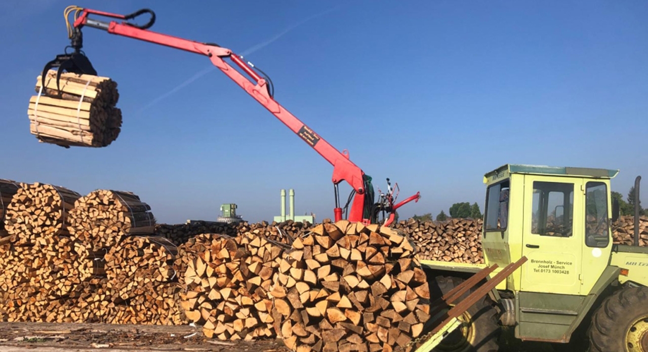 Brennholzqualität von der schwäbischen Alb, nachhaltig erwirtschaftet